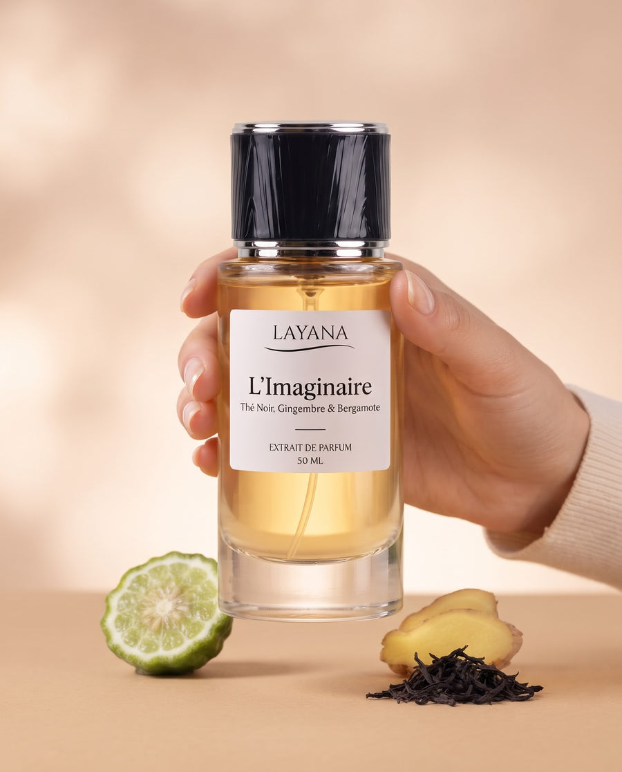 L'Imaginaire — vue 3