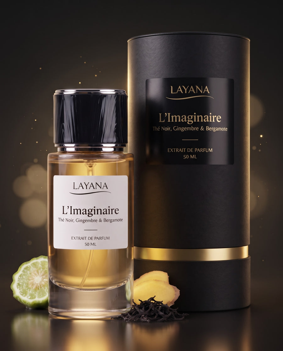 L'Imaginaire — vue 4