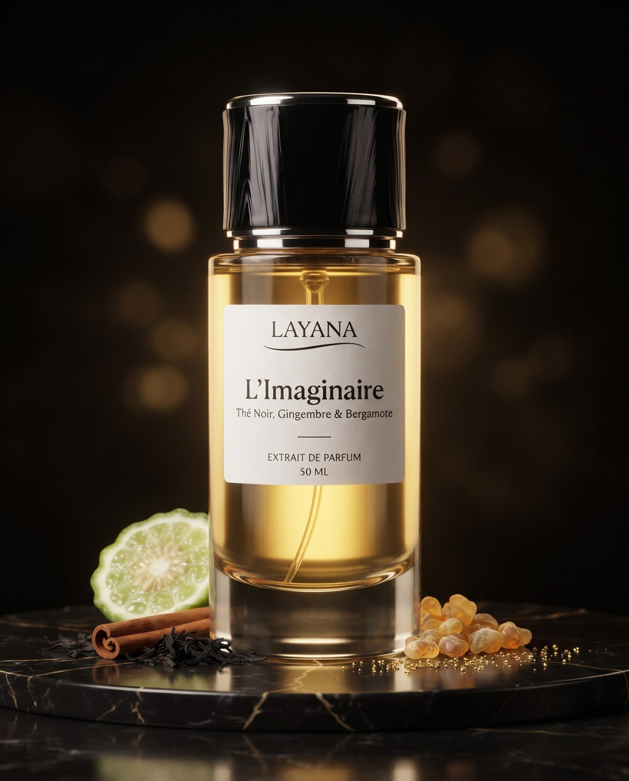 L'Imaginaire — vue 8