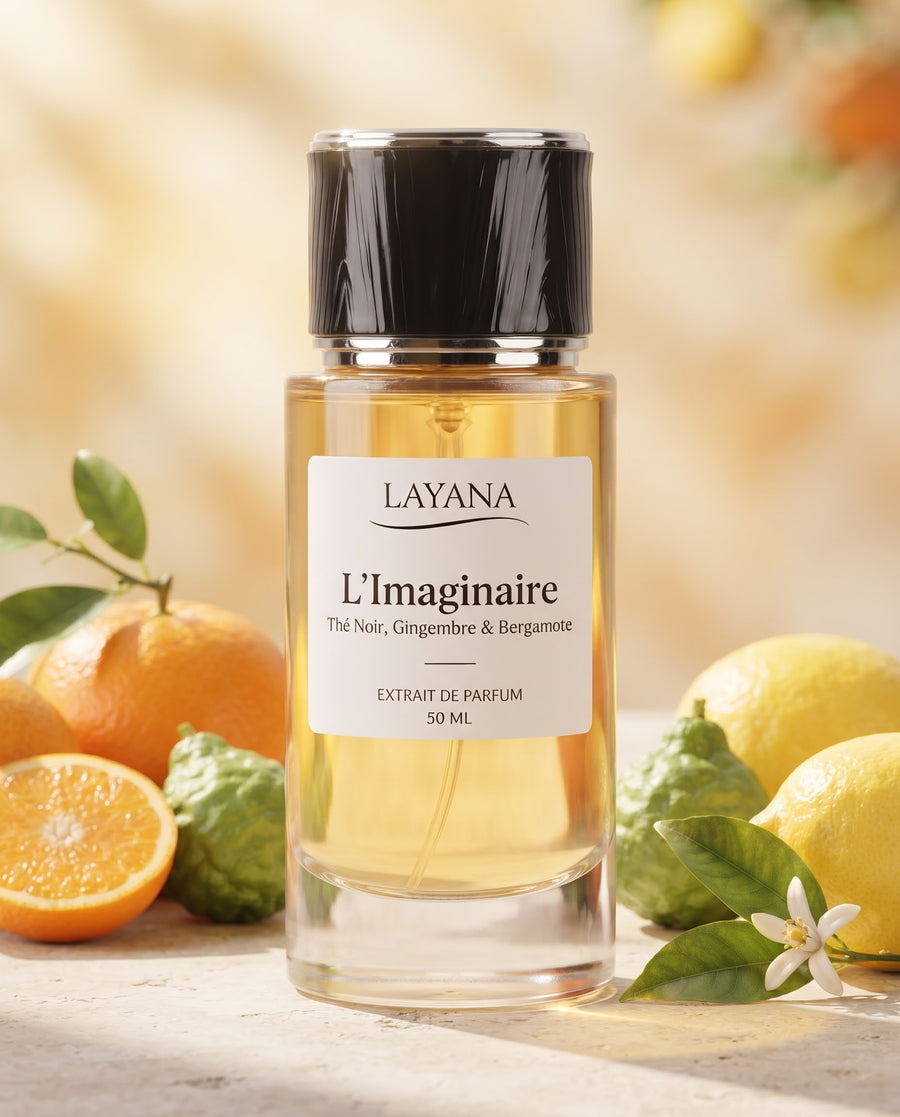 L'Imaginaire — vue 7