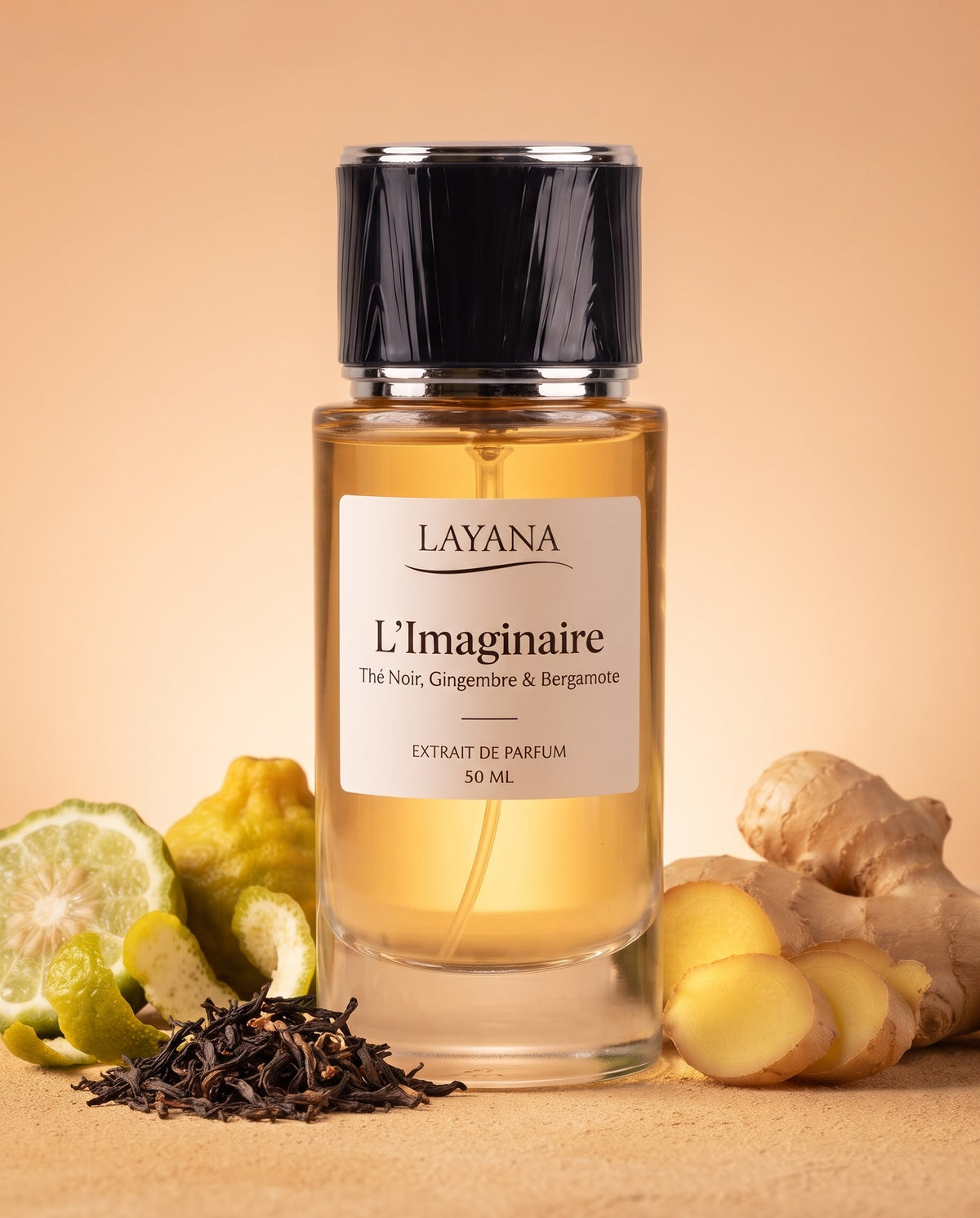 L'Imaginaire