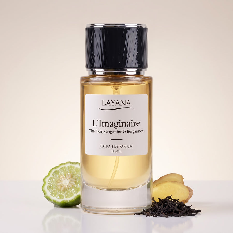 L'Imaginaire — vue 6