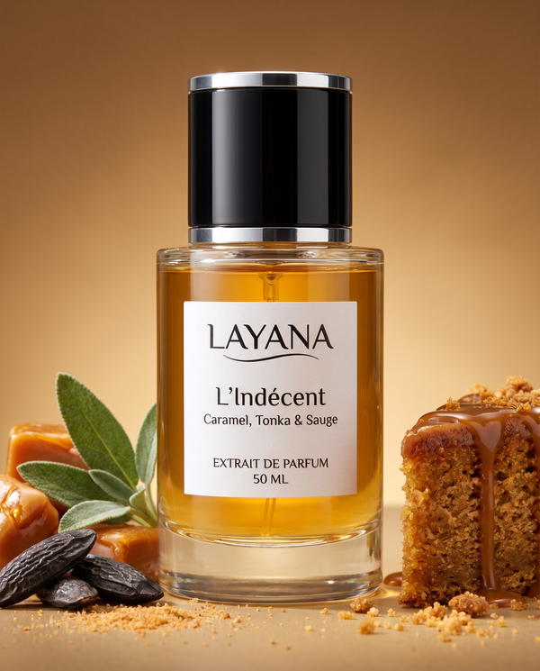 L'Indécent univers