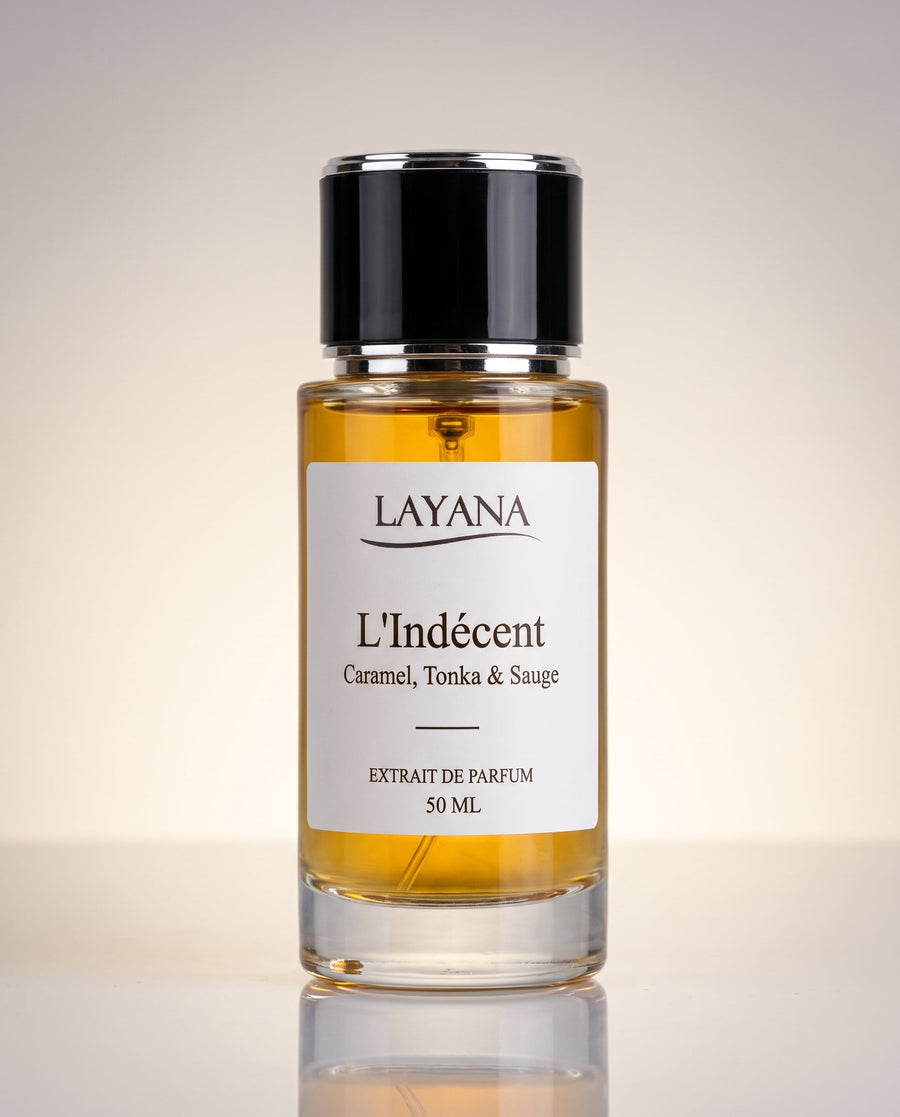 L'Indécent — vue 2