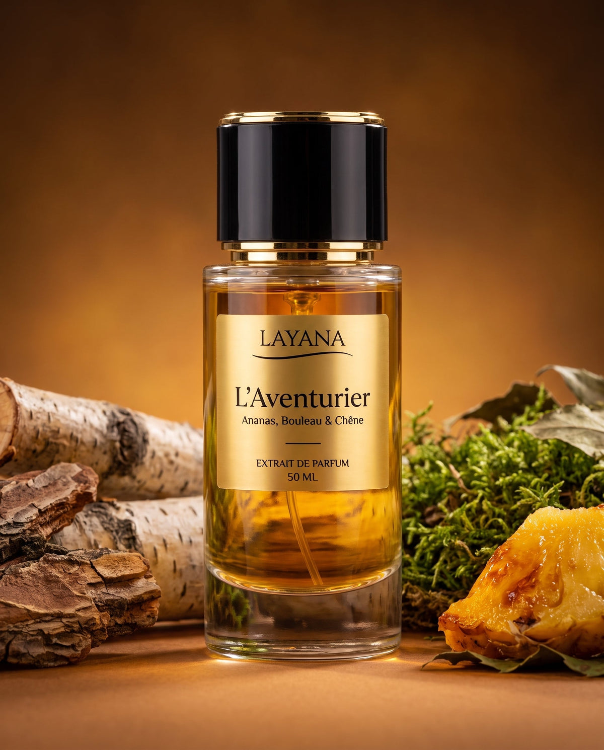 L'Aventurier