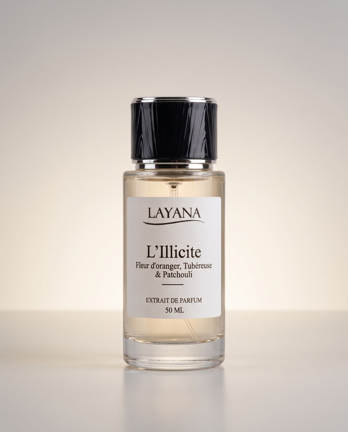 L'Illicite